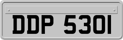 DDP5301