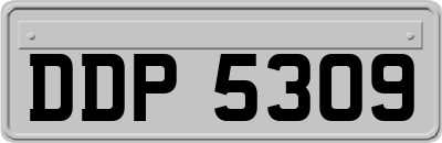 DDP5309
