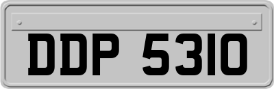 DDP5310