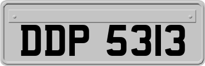 DDP5313