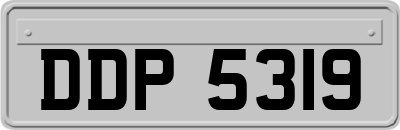 DDP5319