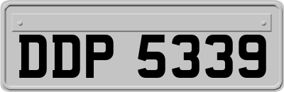 DDP5339