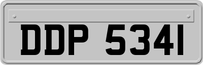 DDP5341