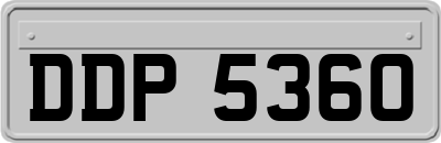 DDP5360