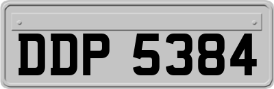 DDP5384