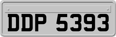 DDP5393