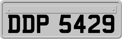 DDP5429