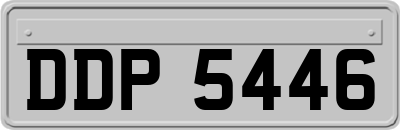 DDP5446