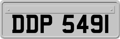 DDP5491