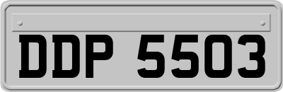 DDP5503