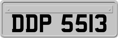 DDP5513