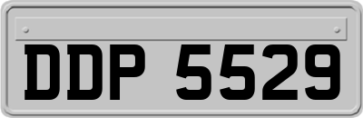 DDP5529