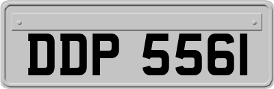 DDP5561
