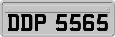 DDP5565