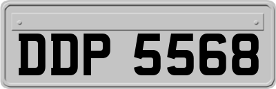 DDP5568