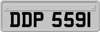 DDP5591
