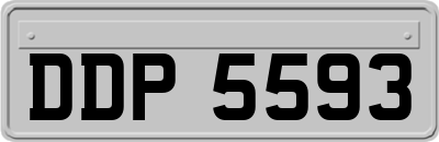 DDP5593