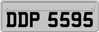 DDP5595