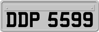 DDP5599