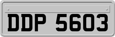 DDP5603