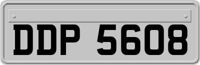 DDP5608