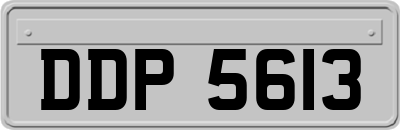 DDP5613