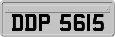 DDP5615