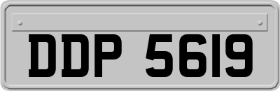 DDP5619