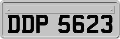 DDP5623