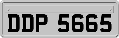 DDP5665