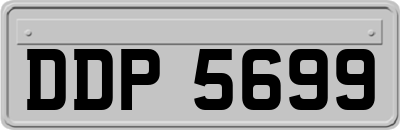 DDP5699