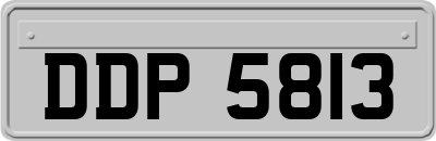 DDP5813