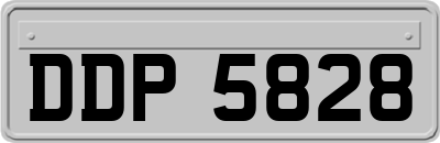 DDP5828