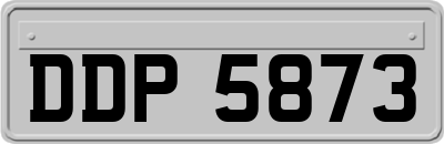 DDP5873