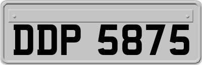 DDP5875