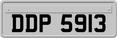 DDP5913