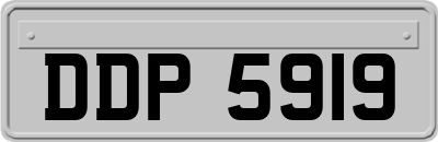 DDP5919