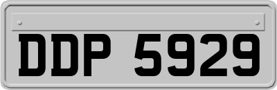DDP5929