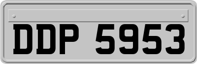 DDP5953