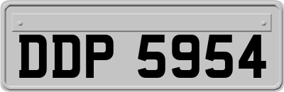 DDP5954