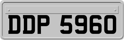 DDP5960
