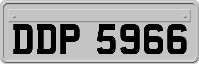 DDP5966