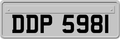 DDP5981