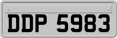 DDP5983
