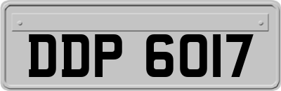 DDP6017