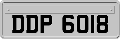 DDP6018