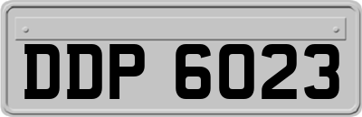 DDP6023