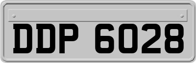 DDP6028