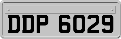DDP6029