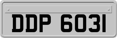 DDP6031